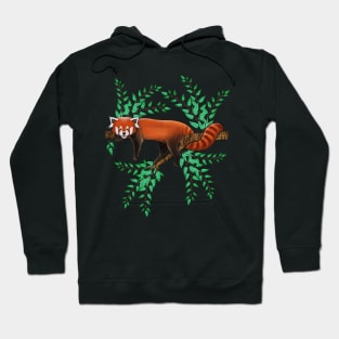 Red panda red panda lover cute red panda Hoodie